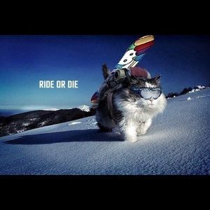 Meet your Posher, Cameron